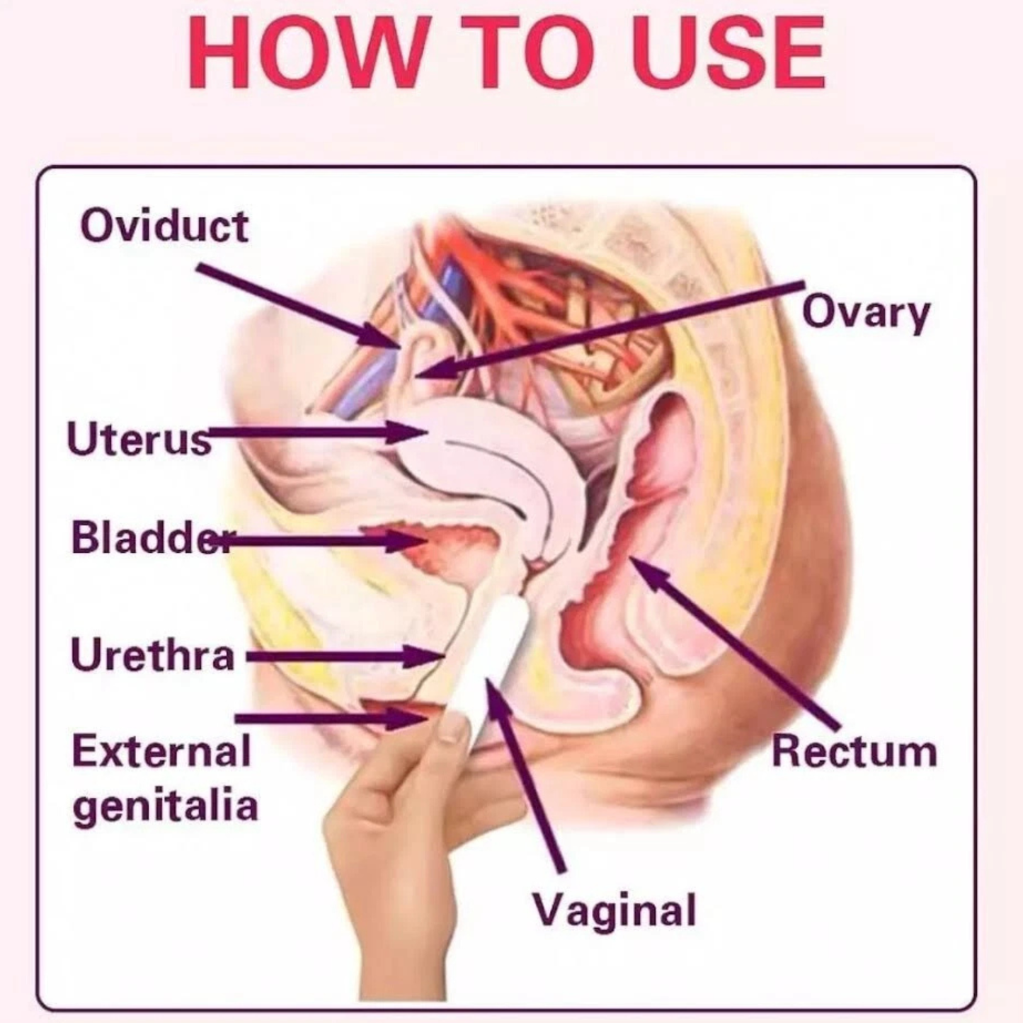 Night Beautyful Go, Vaginal Tightening, and Rejuvenation Stick