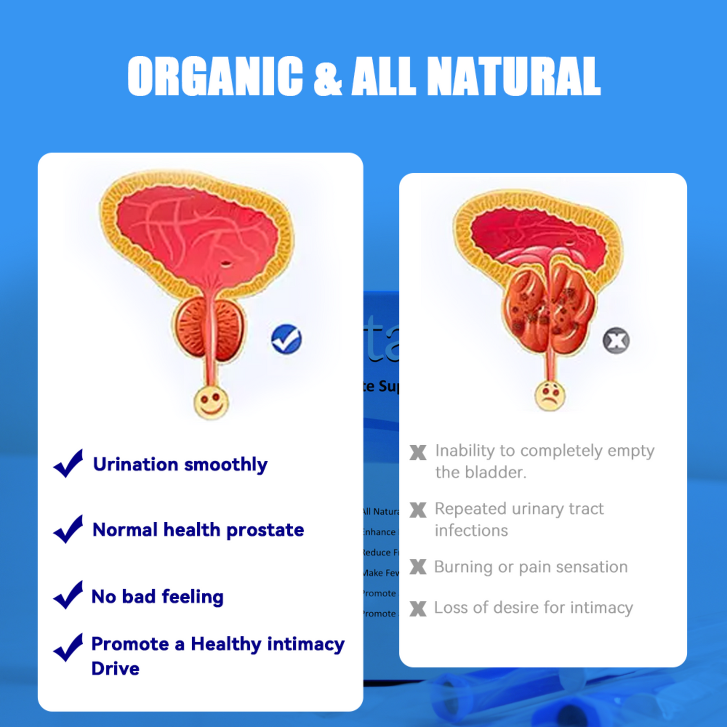 Prostate Gel, Prostate Support, Herbally Formulated